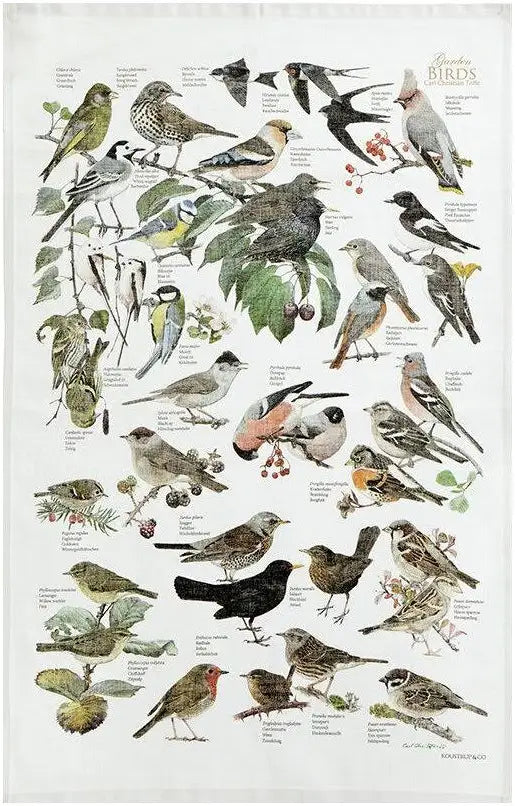 Garden Birds